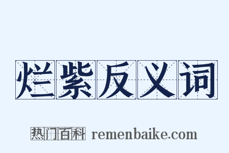烂紫反义词是什么意思的图片